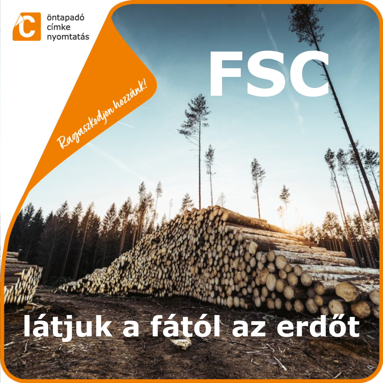 Mi is az az FSC tanúsítvány, és miért jó a bolygónak?