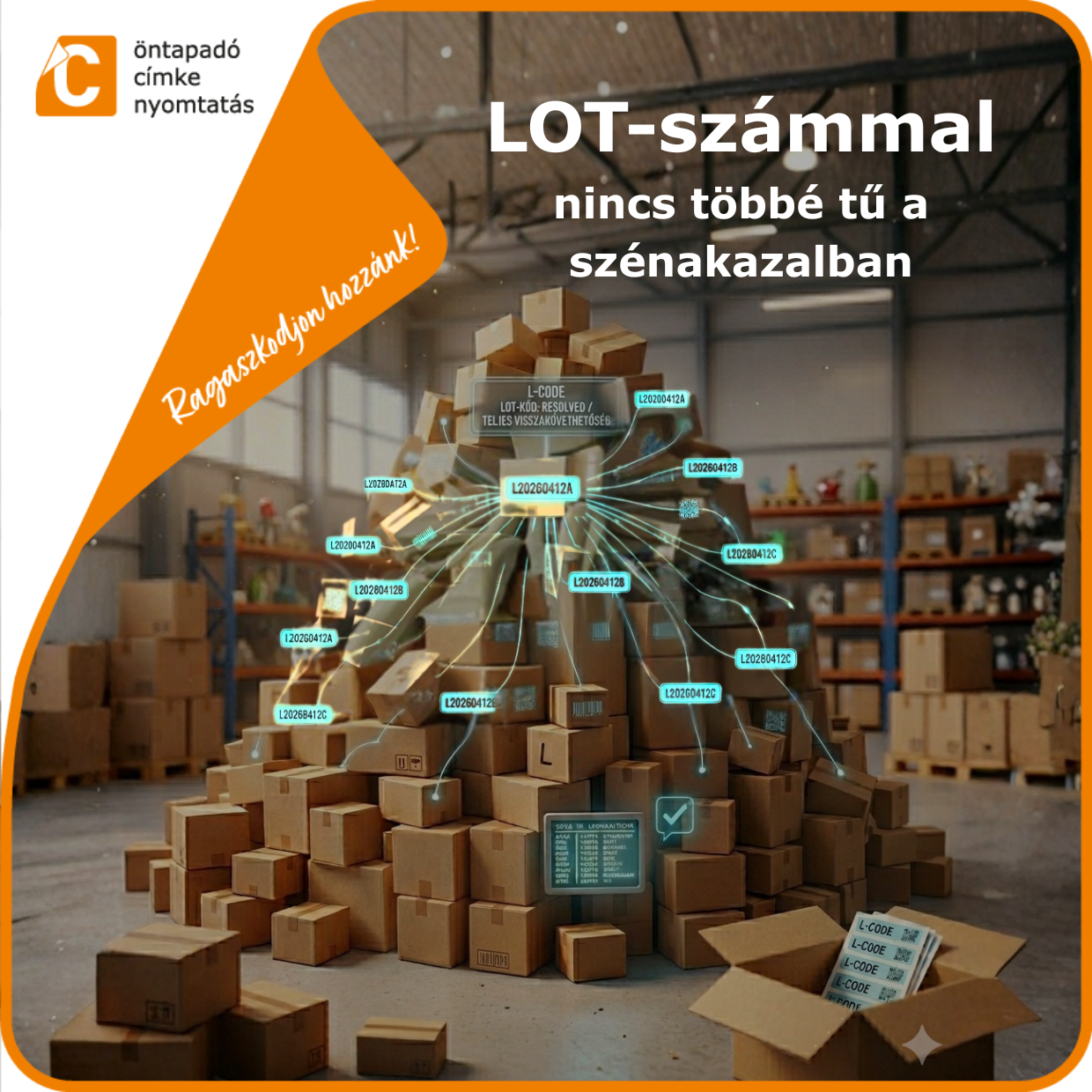 LOT-szám, sarzsszám, kötegazonosító – jelentés, szabályok