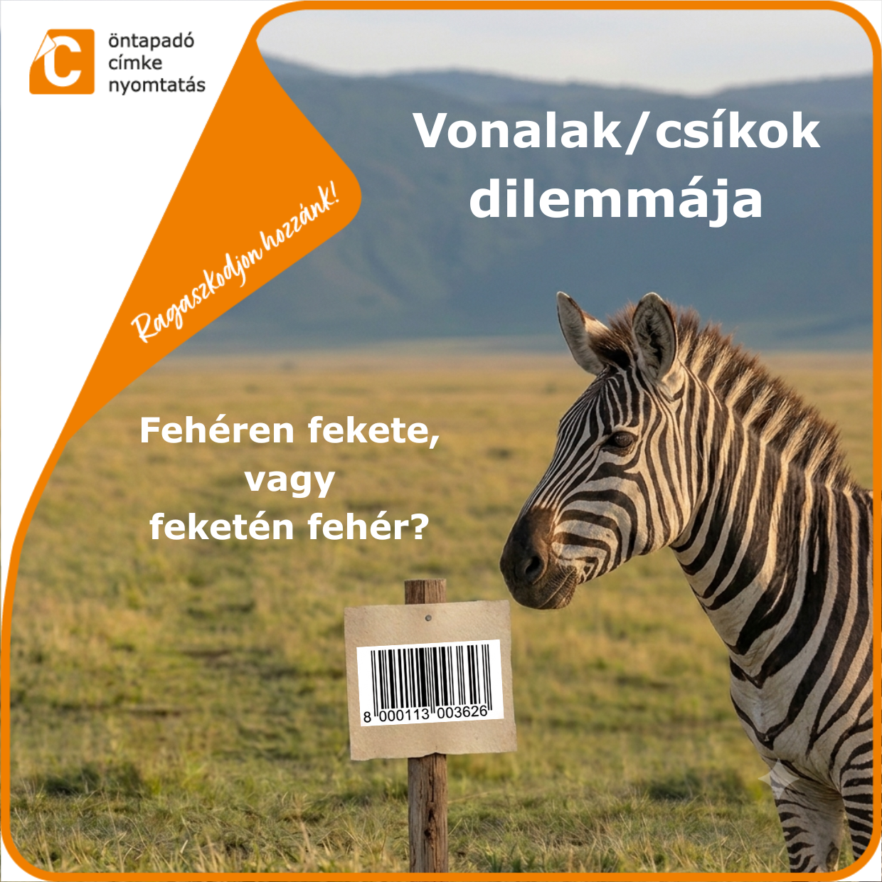 Vonalak és csíkok dilemmája